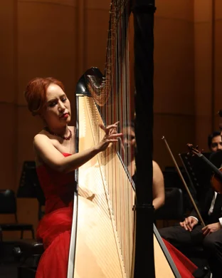 Youngstown Symphony Orchestra Youngstown