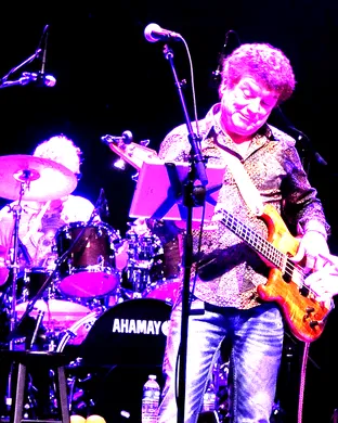 Ambrosia Akron