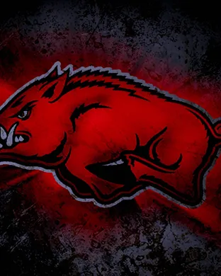 Arkansas Razorbacks Fayetteville