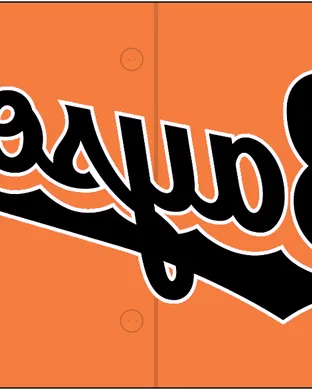 Chesapeake Baysox Akron
