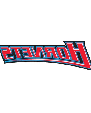Delaware State Hornets Football Tampa