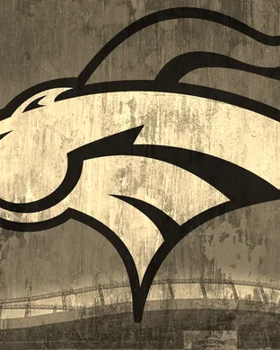 Denver Broncos Pittsburgh
