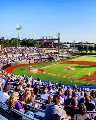 East Carolina Pirates Baseball Greenville