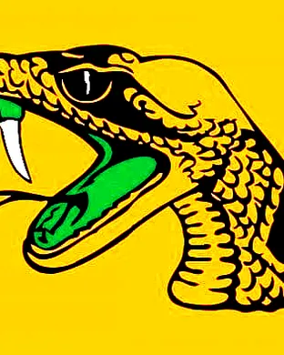 Florida A&m Rattlers Football Lorman