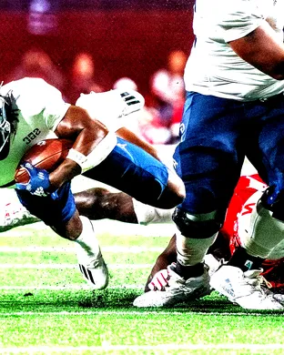 Georgia Southern Eagles Football Statesboro