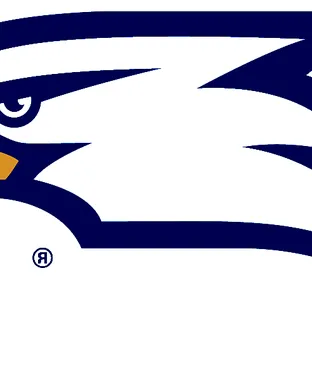 Georgia Southern Eagles Statesboro