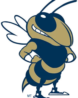 Georgia Tech Yellow Jackets Pittsburgh