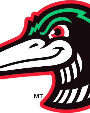 Great Lakes Loons Eastlake
