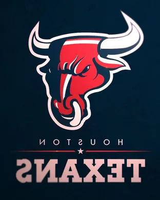 Houston Texans Pittsburgh