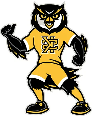 Kennesaw State Owls Jonesboro