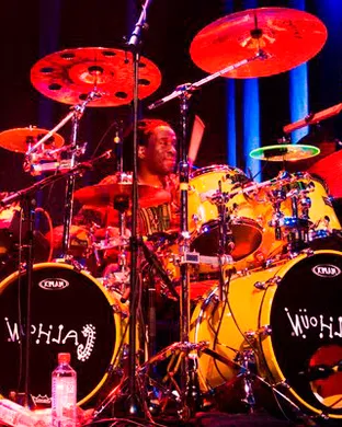Living Colour Homestead
