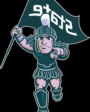 Michigan State Spartans Football Notre Dame