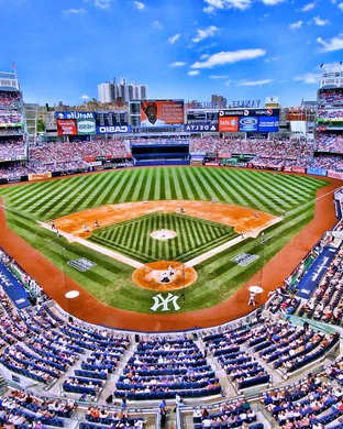 New York Yankees Bronx