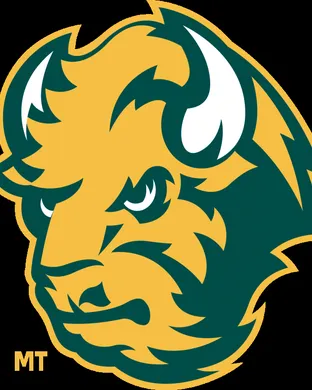 North Dakota State Bison Football Albuquerque