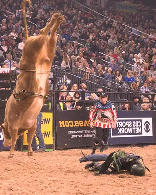PBR - Professional Bull Riders Pittsburgh
