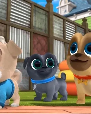 Puppy Pals Akron