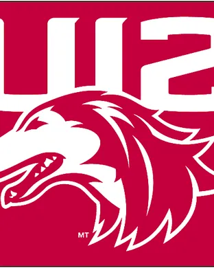 Southern Illinois Salukis Football Carbondale
