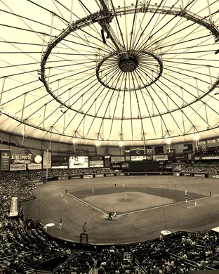 Tampa Bay Rays St Petersburg