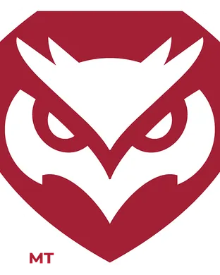 Temple Owls Tampa