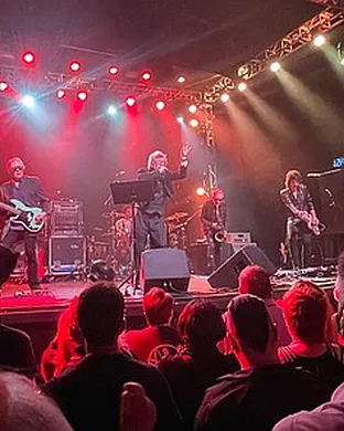 The Psychedelic Furs Homestead