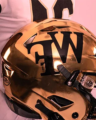Wake Forest Demon Deacons Football Winston Salem