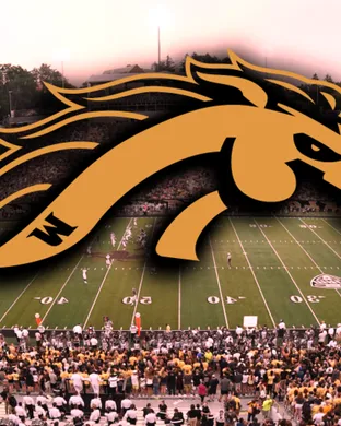 Western Michigan Broncos Football Ann Arbor