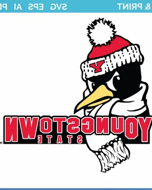 Youngstown State Penguins Football Youngstown