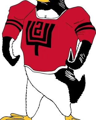 Youngstown State Penguins Youngstown