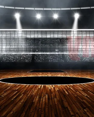 Louisville Cardinals Women's Volleyball Louisville