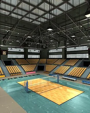 Southern Methodist (SMU) Mustangs Women's Volleyball Dallas